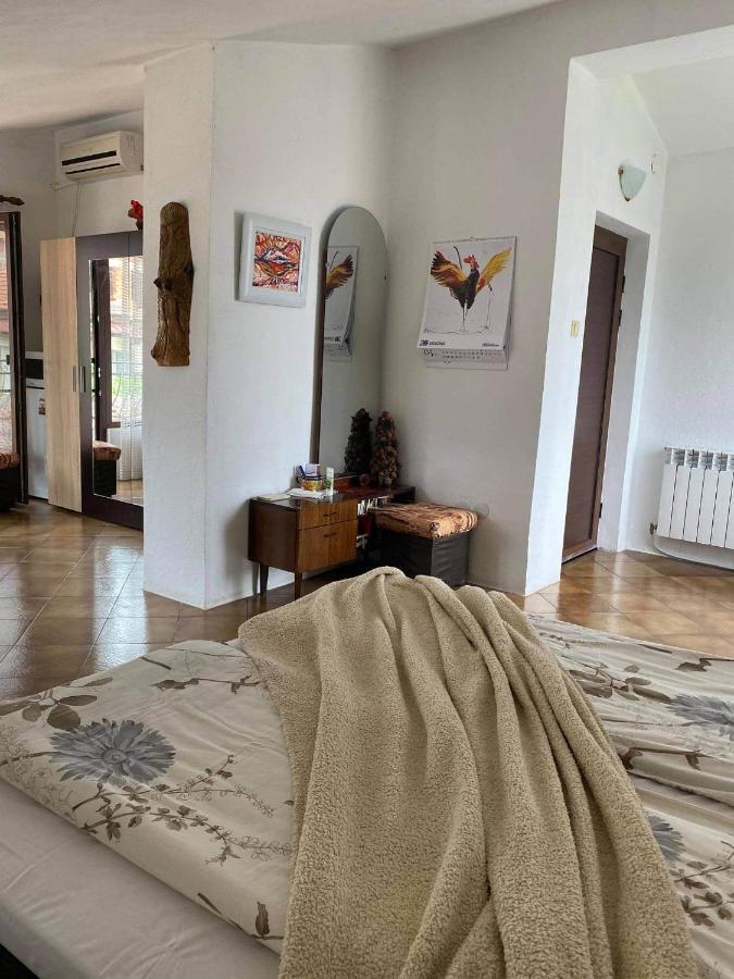 Art Studio Sapareva Banja Exteriér fotografie